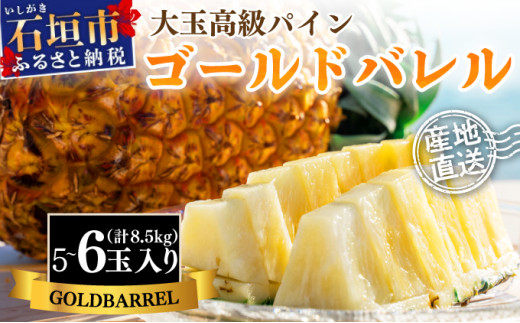 ＜先行予約＞ 石垣島産 ゴールドバレルパイン 大玉5～6個入り 約8.5kg ＜2026年7月以降発送＞ | 産地直送 沖縄 石垣 フルーツ パイナップル パイン ゴールドバレルパイン SI-8-2 【大玉】5~6玉入(約8.5kg~)