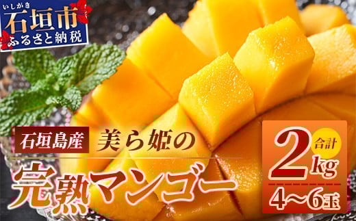 ［予約受付］美ら姫マンゴー2kg（完熟・アーウィン種）≪2026年7月中旬～順次発送≫【 産地直送 沖縄県 石垣市 マンゴー フルーツ 果物 南国 石垣島 】CB-2 2kg