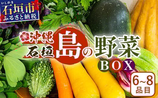 沖縄県 石垣島産 新鮮 やさい BOX 【 島の野菜 詰め合わせセット 】1箱（定番・旬のお野菜６~８種類）｜沖縄 石垣島 産地直送 旬 新鮮 島野菜 野菜セット 野菜 やさい 季節のお野菜 詰め合わせ CK-1 石垣島産 野菜 BOX 1箱