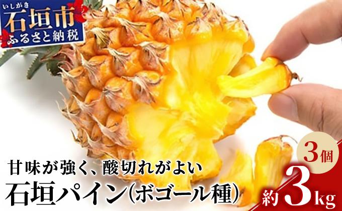 ＜先行受付＞ 石垣パイン 3個セット ボゴール種 ＜2026年5月初旬以降発送＞ | パイナップル パインアップル 石垣島パイン フルーツ 果物 くだもの 南国フルーツ 国産パイン MI-004 3個セット（約3kg）