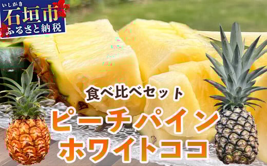 【マツコの知らない世界で絶賛！】《2026年5月～7月発送》最高糖度20度以上！？ 完熟の極 石垣島産ピーチパインとホワイトココの食べ比べセット 【 沖縄 石垣島 石垣 八重山 パイン ピーチパイン ホワイト ココ 期間限定 数量限定 TV テレビ 紹介 マツコ
 】TF-21_R8