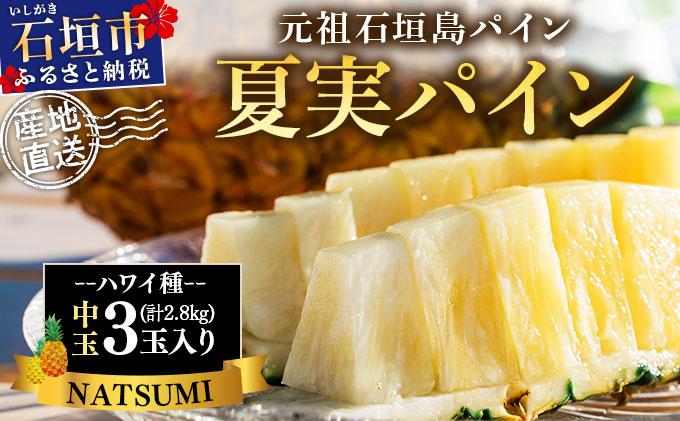 【先行予約】石垣島産 夏実パイン (ハワイ種) 中玉3玉 約2.8kg《2026年7月下旬発送》【 産地直送 沖縄 石垣 フルーツ パイナップル パイン ハワイ 夏実パイン 】SI-124 中玉3玉 約2.8kg