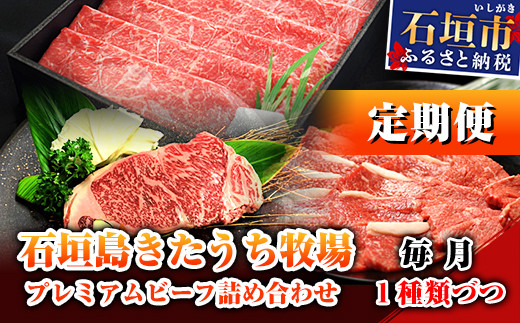 【6回定期便】石垣島きたうち牧場プレミアムビーフ 詰め合わせ 牛肉 肉 定期 肉定期便 6ヶ月 6ヵ月 しゃぶしゃぶ ステーキ 切り落し 切り落とし 焼き肉 すき焼き サーロイン モモ 赤身 AM-17