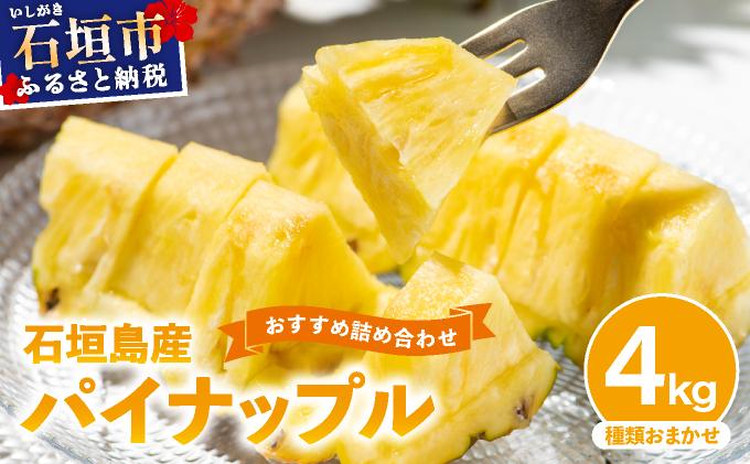 【訳あり】 石垣島産 パイナップル 詰め合わせ 約4kg (3～10個)《2026年4月下旬から発送》 | ふるさと納税 パイナップル 産地直送 フルーツ 果物 パイン 石垣 沖縄 沖縄県石垣市 石垣島 KP-15 季節の詰め合わせ 約4kg
