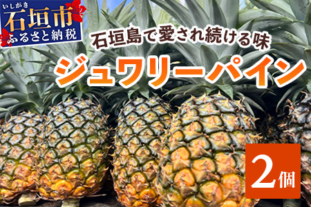 [予約受付][2025年5月下旬〜7月中旬発送]最高糖度18度!? 完熟の極 石垣島産ジュワリーパイン TF-16-1