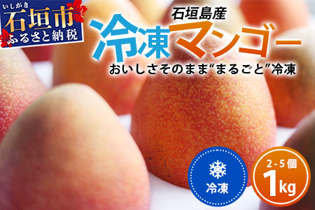 石垣島産まるごと冷凍マンゴー 2〜5個 約1kg EF-7