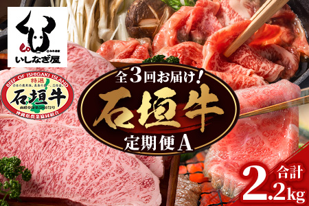 [全3回 定期便A] 石垣牛特選 焼肉・サーロインステーキ・すきしゃぶ 計2.2kg (いしなぎ屋)AB-29