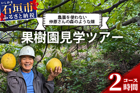 10月?3月は1番人気の文旦も食べ放題&お土産付![1回1組限定プライベート体験ツアー!]農薬を使わない、仲原さんの「森のような畑」 OI-21-1