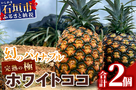 【マツコの知らない世界で絶賛！】《2025年5月以降順次発送》[先行予約] 最高糖度20度！？ 完熟の極 石垣島産幻のパイナップル ホワイトココ2個セット【 沖縄 石垣島 石垣 八重山 パイン パイナップル 期間限定 数量限定 TV テレビ 紹介 マツコ 】TF-2_R7