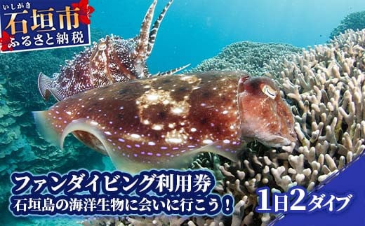 ファンダイビング利用券　石垣島のマンタ・サンゴ・ウミガメに会いに行こう！【沖縄県 石垣市 ダイビング 利用券 海 ダイバー マンタ 珊瑚 ウミガメ 旅行】YD-1-1