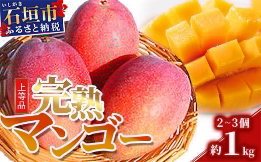石垣島産・完熟マンゴー 約1kg エコ箱入り （2～3個入り）