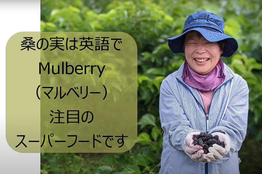 【数量限定】2022年度産 浦添ワイン Mure de Soleil（ミュール・ドゥ・ソレイユ）