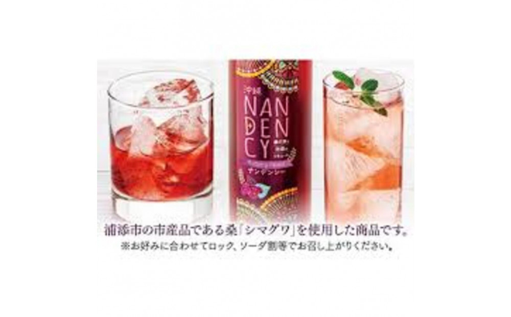 沖縄ナンデンシー（500ml×2本）