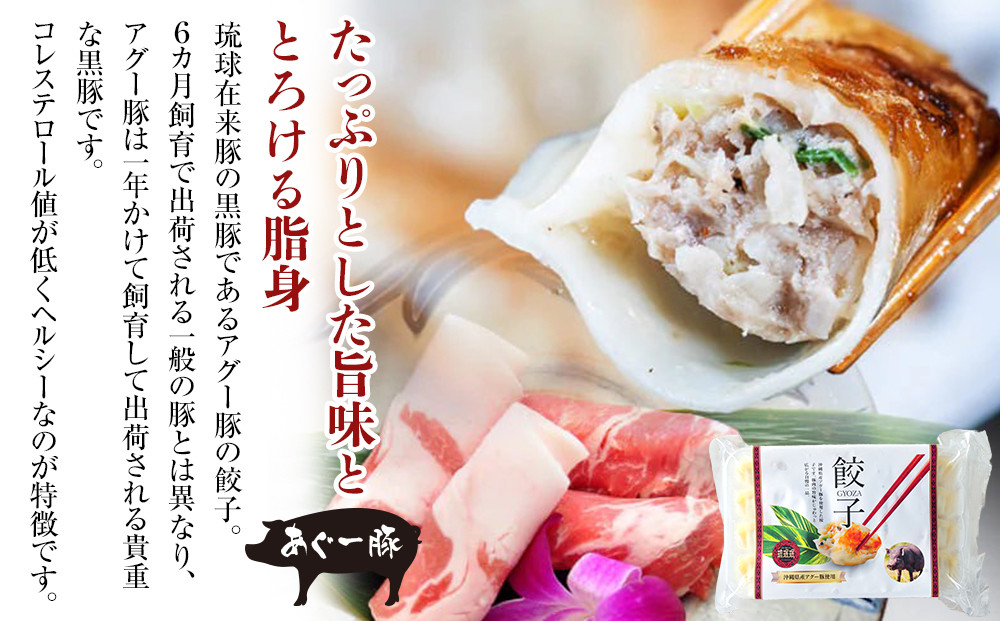 【琉みんみん】沖縄県アグー餃子　4パック 　48個入り