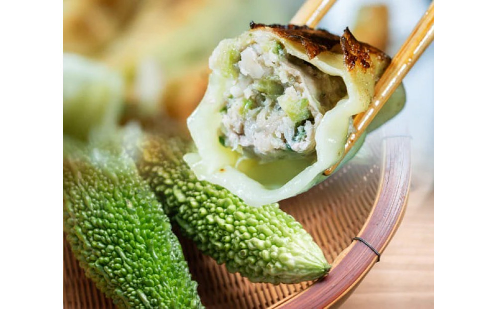 【琉みんみん】沖縄餃子 詰め合わせパック　4パック 　48個入り