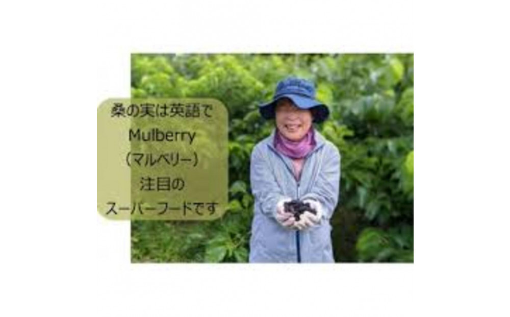 沖縄ナンデンシー（500ml×2本）