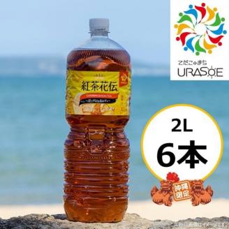 【沖縄限定販売！】紅茶花伝ガーデンレモンティー2L×6本
