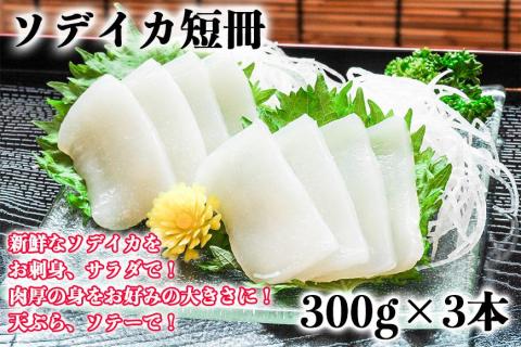 【沖縄県産 巨大イカ】ソデイカ短冊