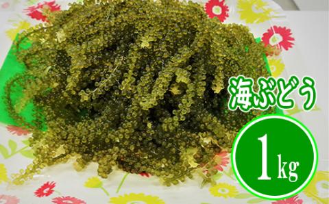 【てだこのまちのグリーンキャビア】海ぶどう（1kg）