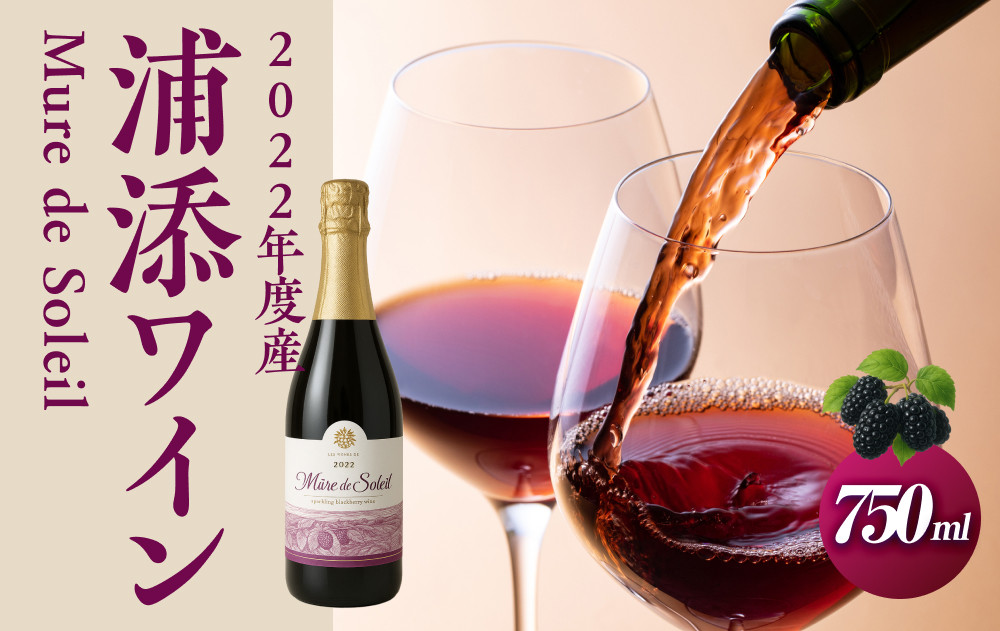 【数量限定】2022年度産 浦添ワイン Mure de Soleil（ミュール・ドゥ・ソレイユ）