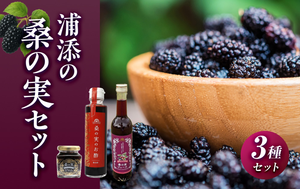 浦添の桑の実セット