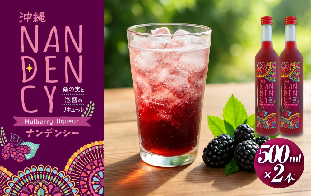 沖縄ナンデンシー（500ml×2本）
