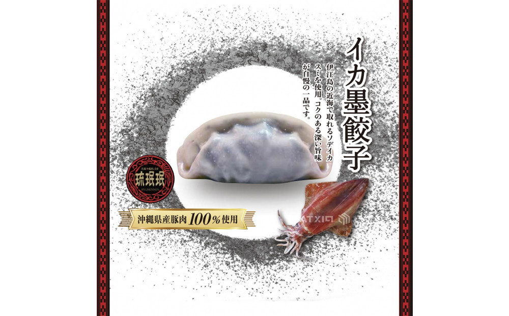 【琉みんみん】沖縄県産イカスミ餃子　4パック 　48個入り