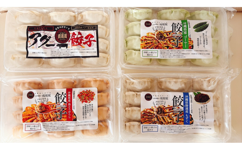 【琉みんみん】沖縄餃子 詰め合わせパック　4パック 　48個入り