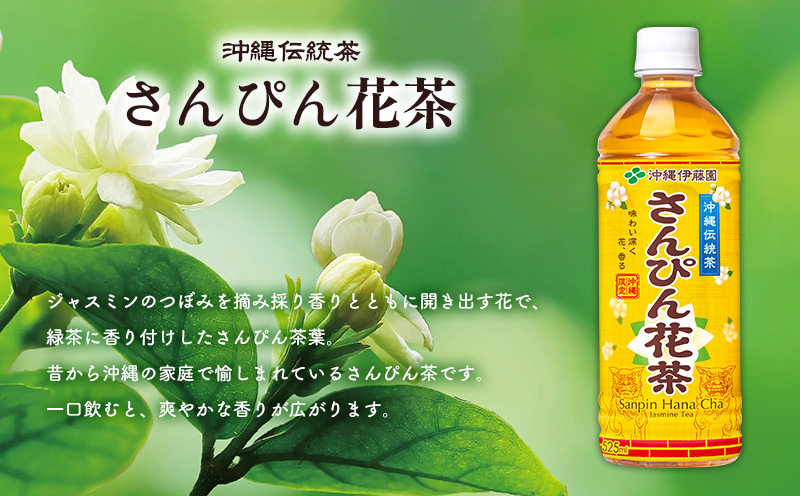 さんぴん花茶　PET（525ml×24本） 沖縄 さんぴん茶 ジャスミン ペットボトル 飲料水 お茶 名護市 おきなわ 国産 県産 ふるさと納税 送料無料 24本 お取り寄せ なごし 爽やか 水分補給 スッキリ やんばる なご