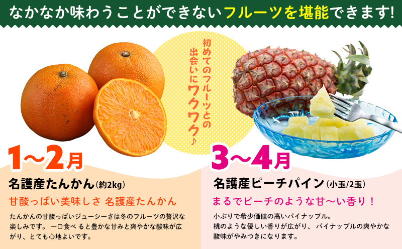 【名護パイン園】旬の南国フルーツ定期便（6回コース） 沖縄 産地直送 期間限定 南国フルーツ 果物 パッションフルーツ スナックパイン アップルマンゴー マンゴー バナナ 毎月お届け お取り寄せ 旬のフルーツ 人気 おすすめ 贈答品 プレゼント 贈り物 ギフト セット