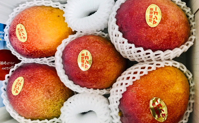 【2026年発送】為又マンゴー園　家庭用　こだわりのマンゴー　約2kg フルーツ 果物 期間限定 数量限定 マンゴー 南国 プレゼント お土産 おみやげ ギフト くだもの 沖縄 おきなわ 青果 デザート おすすめ 人気 冷蔵 夏 スイーツ