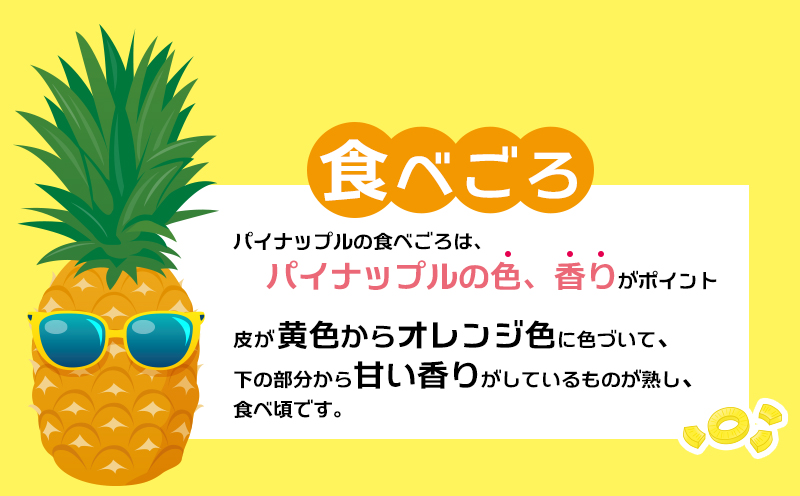 2026年発送【羽地の駅】ボゴールパイン2～4玉 2.4kg以上 沖縄 おきなわ 国産 県産 お取り寄せ 人気 こだわり ギフト くだもの あまい 魅力 お土産 食べ物 果物 名護 やんばる なご 南国 トロピカル 夏
