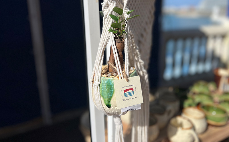 『feliceフェリーチェ』ガジュマル＆ erba エルバ【名護産植木鉢SDGｓ】 やちむん 焼き物 陶芸 ガジュマル 植木鉢 体験 伝統 工芸 鑑賞用 観葉植物 インテリア 初心者 ふるさと納税 沖縄 おきなわ 名護 なご 植物 国産 育てやすい