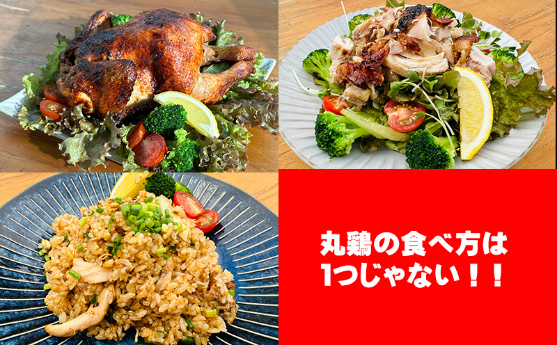 鶏専門店とぅいとぅい　鶏の丸焼き１kg（１羽 ３～４人前） 鶏 専門店 とり 鳥 丸焼き ロースト チキン クリスマス パーティー 肉 チキンライス サラダ ソウルフード 食べやすい 簡単調理 ギフト お土産 おみやげ ご飯 レシピ