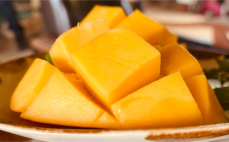 2025年発送【中山マンゴー園】沖縄県やんばる産　クロレラマンゴー贈答用800g以上【秀品】 完熟 マンゴー アップル 南国 沖縄 フルーツ くだもの 果物 果実 先行予約 産地直送 贅沢 濃厚 スイーツ デザート 旬の果物 贈り物 ギフト プレゼント 贈答用