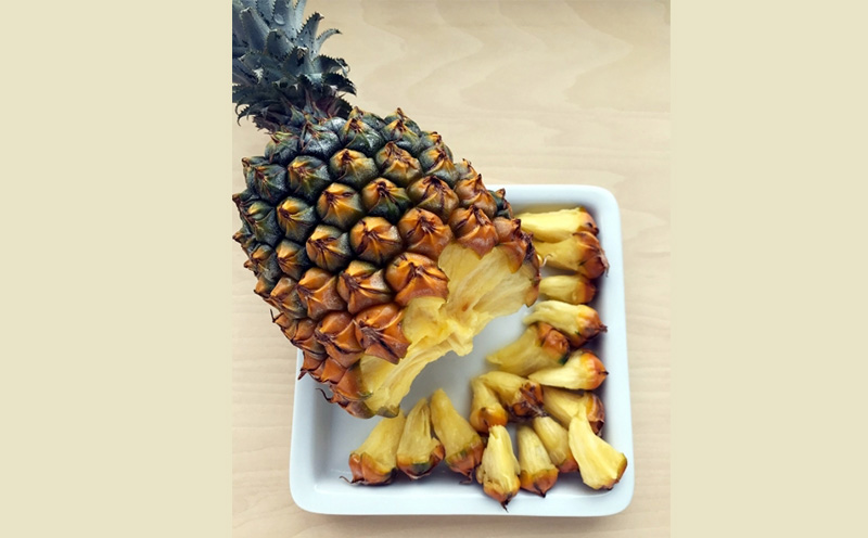 2026年【屋我地島　農家協同直売所】屋我地島のボゴールパイン1.5kg以上（2～3玉） パイナップル 先行予約 沖縄 名護市 フルーツ 厳選 こだわり 果物 くだもの パイン お取り寄せ ふるさと納税 送料無料 南国フルーツ ぱいん 名護市 なご 食べ物 やんばる トロピカル