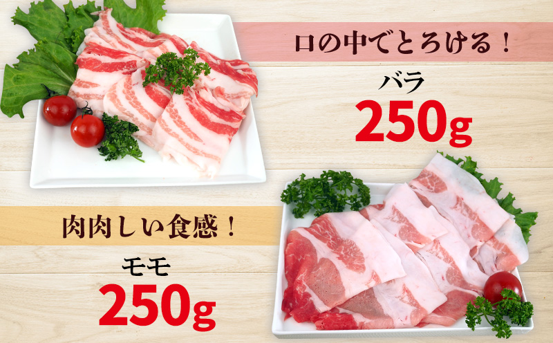 チャ―グー4種食べ比べ1kg（250g×4P） 沖縄 チャーグー アグー ブランド豚 旨み ジューシー ヘルシー 沖縄料理 しゃぶしゃぶ ステーキ ロースカツ バラ モモ ウデ ロース 豚肉 人気 高校生 小分け 豚しゃぶ