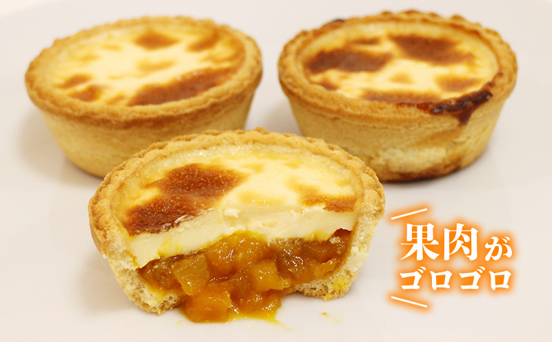 おきぽたタルト2種セット　1箱(10個入り) おきぽた チーズタルト 紅芋タルト マンゴー スイーツ 専門店 OKIPOTA 洋菓子 焼き菓子 果肉 贅沢 高級 人気 おすすめ お土産 ギフト プレゼント 贈り物 沖縄 お取り寄せ