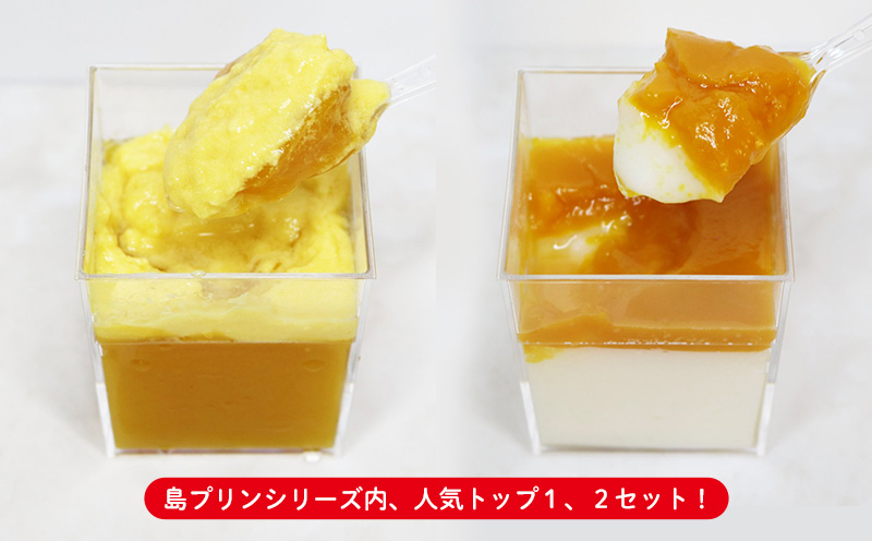 マンゴープリン6個＆杏仁豆腐6個セット　1箱(計12個セット) おきぽた プリン 杏仁 豆腐 マンゴー スイーツ 専門店 マンゴープリン 濃厚 新食感 フルーツ杏仁 クリーミー 人気 おすすめ 沖縄 お土産 プレゼント 贈り物 ギフト お取り寄せ