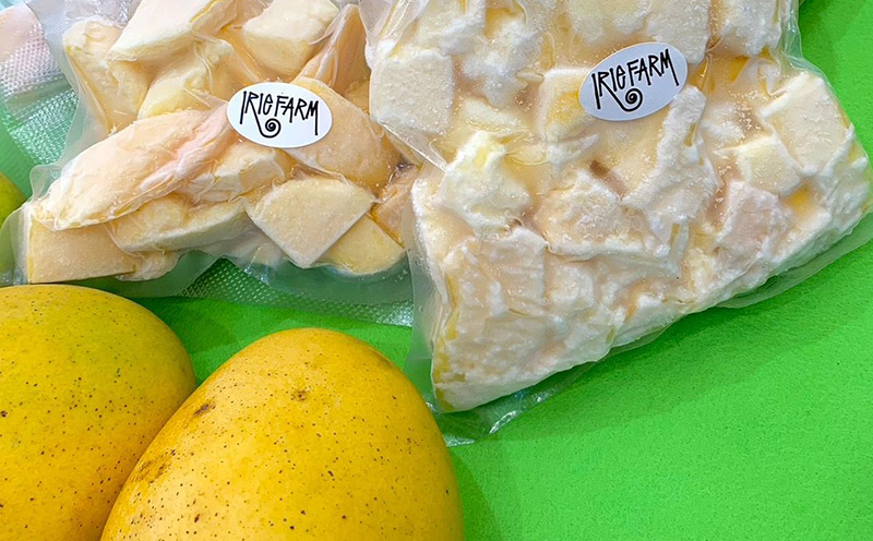 2026年7月発送　先行予約　金蜜　冷凍カットマンゴー500g（250g×2袋） 沖縄県 名護市 マンゴー 金蜜 冷凍 フルーツ デザート スイーツ 国産フルーツ 果物 大自然 南国気分 先行予約 甘い トロピカル 産地直送 人気 贈り物 おすすめ お取り寄せ