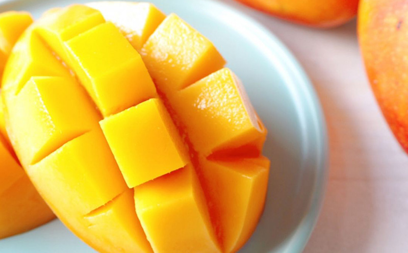 2026年7月発送　先行予約　アーウィン　冷凍カットマンゴー500g（250g×2袋） 沖縄県 名護市 マンゴー アーウィン 冷凍 フルーツ デザート スイーツ 国産フルーツ 果物 大自然 南国気分 先行予約 甘い トロピカル 産地直送 人気 贈り物 おすすめ お取り寄せ