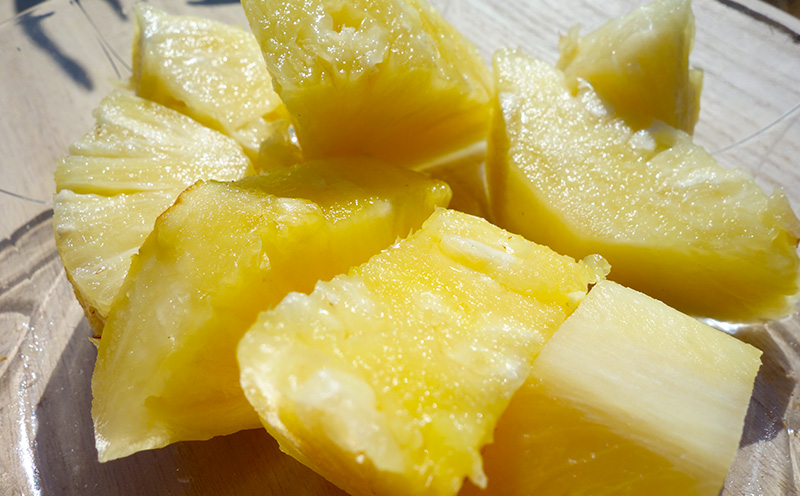 【2026年先行予約】ふちゃく農園のゴールドバレル1.5kg以上 パイン パイナップル パインアップル 高級パイン 沖縄県産パイン フルーツ 南国フルーツ トロピカルフルーツ 高級フルーツ 果物 くだもの 果実 デザート 甘い 人気 プチギフト 産地直送 国産 沖縄 名護市