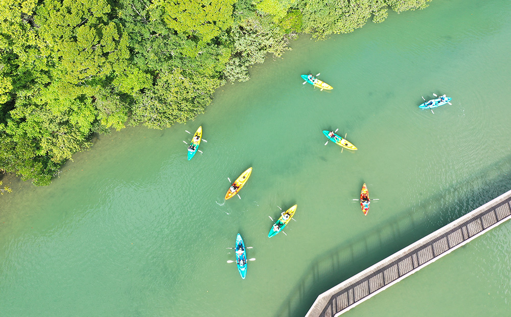 初心者大歓迎！マングローブ満喫のんびりカヤックツアー（ペアチケット） カヤック 初心者 大歓迎 マングローブ ペアチケット わんさか大浦パーク ツアー 大自然 2名 おすすめ オススメ 南国気分 沖縄県 名護市 満喫 のんびり 体験 ヤンバル やんばる
