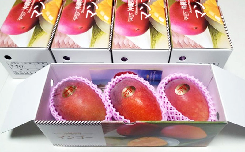 【2026年発送】名護市最北端イナミファームの　優品　アップルマンゴー 約1kg フルーツ 果物 期間限定 数量限定 マンゴー 南国 プレゼント お土産 おみやげ ギフト くだもの 沖縄 おきなわ 青果 デザート 冷蔵 おすすめ 人気 夏 スイーツ