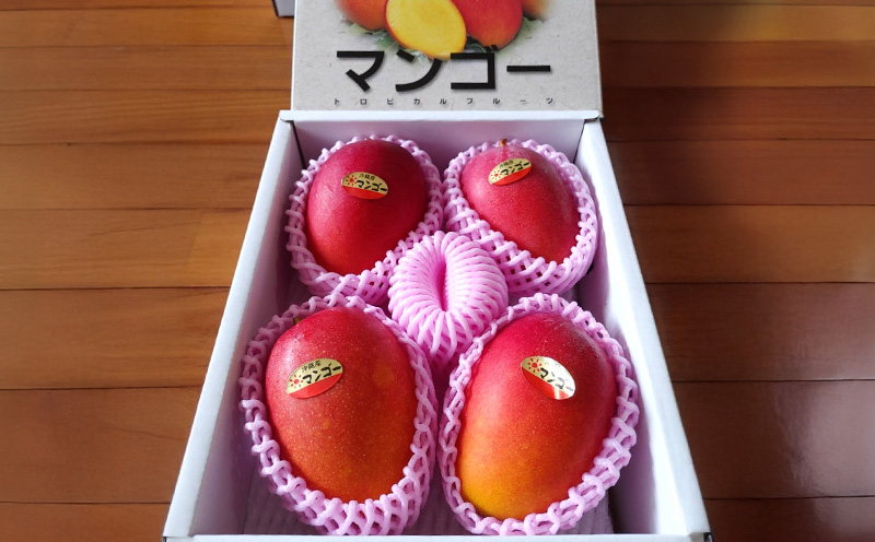 【2026年発送】名護市最北端イナミファームの　優品　アップルマンゴー 約1.5kg フルーツ 果物 期間限定 数量限定 マンゴー 南国 プレゼント お土産 おみやげ ギフト くだもの 季節 おきなわ 青果 デザート おすすめ 人気 冷蔵 夏 スイーツ