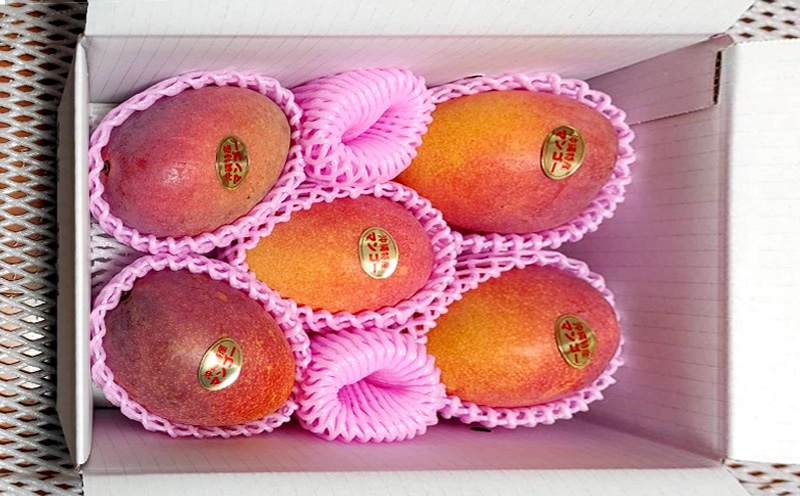 【2026年発送】名護市最北端イナミファームの家庭で楽しむアップルマンゴー 約2kg フルーツ 果物 期間限定 数量限定 マンゴー 南国 プレゼント お土産 おみやげ ギフト くだもの 沖縄 おきなわ 青果 デザート 冷蔵 おすすめ 人気 夏 スイーツ