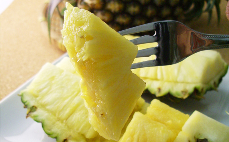 2026年発送【名護パイン園】　ゴールドバレル（大玉1玉） 先行予約　 パインアップル パイナップル 期間限定 数量限定 フルーツ くだもの 果物 贈答 贈り物 プレゼント 人気 おすすめ 南国 お土産 ギフト デザート 青果 沖縄 おきなわ 年末