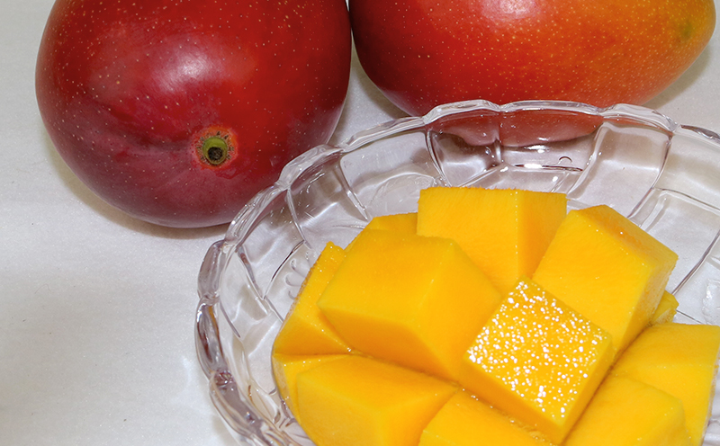 【2026年発送】　ご家庭で美味しく！アップルマンゴー約2kg【つは農園】 フルーツ 果物 期間限定 数量限定 先行予約 南国 プレゼント お土産 おみやげ ギフト くだもの 季節 おきなわ 青果 デザート おすすめ 人気 冷蔵 夏 スイーツ