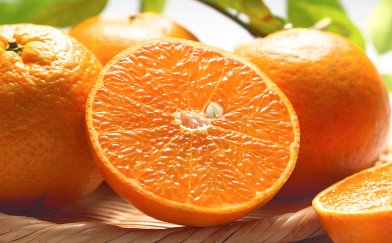 2026年発送【名護パイン園】　タンカン約5kg 先行予約 フルーツ 青果 期間限定 年末 数量限定 みかん 柑橘 沖縄 おきなわ 果実 ギフト 贈り物 子供 デザート 取り寄せ 旬 人気 おすすめ 贈答 プレゼント