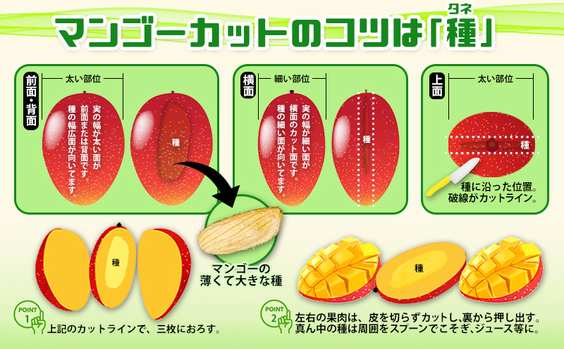 2025年発送 農家直送【上原マンゴー園】優品完熟マンゴー　1.5kg以上　先行予約 完熟 マンゴー アップル 南国 沖縄 国産 フルーツ くだもの 果物 果実 トロピカル 産地直送 贅沢 濃厚 冷蔵 スイーツ デザート 旬の果物 贈答用 名護